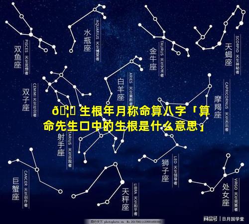 🦋 生根年月称命算八字「算命先生口中的生根是什么意思」